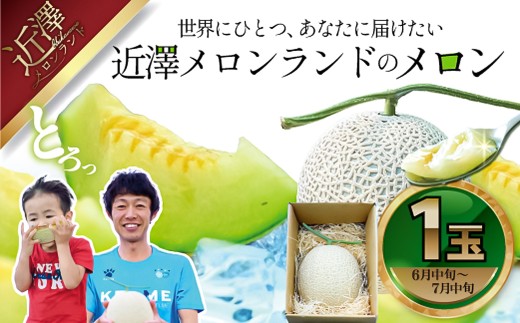 先行予約 メロン １玉入（約1.4kg～1.8kg）青肉 2026年夏発送 期間限定 メロン めろん マスクメロン 舐瓜 果物 くだもの フルーツ デザート 旬 ハウス栽培 常温配送