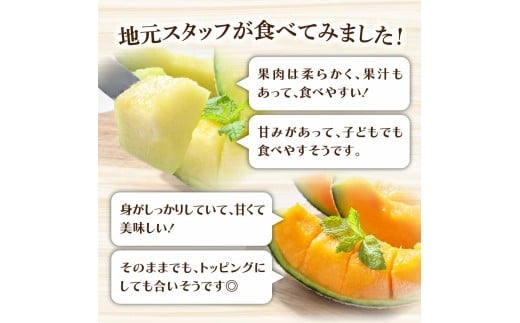高級土佐アールスメロン2玉入り メロン めろん 赤白セット 赤玉×白玉 3kg以上 舐瓜 果物 くだもの フルーツ デザート スイーツ おやつ 高級 常温 配送【森岡　敬】 [BQBA004]