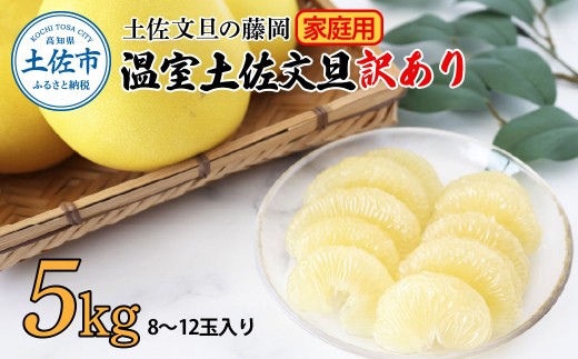 ＜土佐文旦の藤岡＞訳あり 温室土佐文旦 家庭用 5kg (8～12玉）文旦 ぶんたん ブンタン 土佐文旦 ハウス栽培 甘い 柑橘 フルーツ 果物 ご当地 産地直送 お取り寄せ 5キロ  土佐 高知