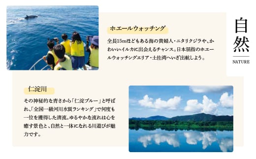 《3ヵ月定期便》ハーブ仁淀川産 自然栽培ハーブ ジャーマンカモミール ハーブティー ティーバッグタイプ 2個セット 7袋入り×2個 ギフト 定期便 定期コース 全3回 ティーバッグ 無農薬 高知