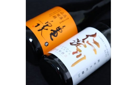 仁淀川純米大吟醸 AC-95 亀泉純米大吟醸 兵庫山田錦 2本セット 高知県 土佐市 こうち 返礼品