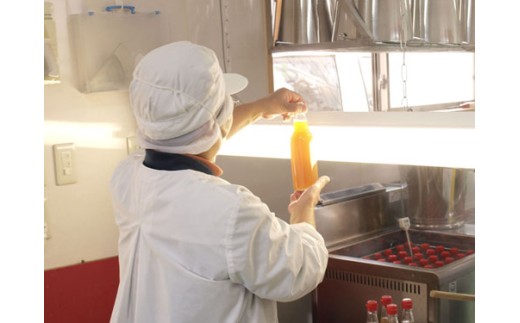 濃縮 生姜 シロップ 3本 セット 360ml 万能 調味料 生姜 自由自在 あわせしょうが ドレッシング 飲料 調理 ジュース KP001-2x