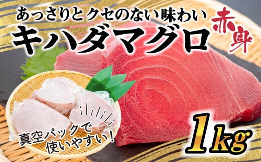 訳あり 大満足!もちもちキハダマグロ赤身1kg TY027-2x