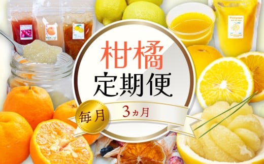 全 3回 3ヶ月 果物 定期便 ぽんかん 土佐 文旦 オーガニック 無農薬 防腐剤 不使用 高知県 須崎市 柑橘 蜜柑 みかん オレンジ フルーツ 果物 お取り寄せ 家庭用 高知県 須崎市 頒布会