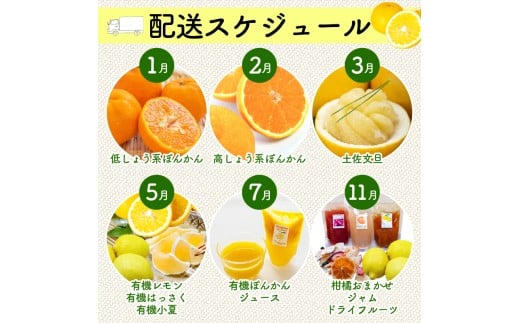 全 3回 3ヶ月 果物 定期便 ぽんかん 土佐 文旦 オーガニック 無農薬 防腐剤 不使用 高知県 須崎市 柑橘 蜜柑 みかん オレンジ フルーツ 果物 お取り寄せ 家庭用 高知県 須崎市 頒布会