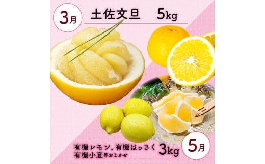 全 3回 3ヶ月 果物 定期便 ぽんかん 土佐 文旦 オーガニック 無農薬 防腐剤 不使用 高知県 須崎市 柑橘 蜜柑 みかん オレンジ フルーツ 果物 お取り寄せ 家庭用 高知県 須崎市 頒布会
