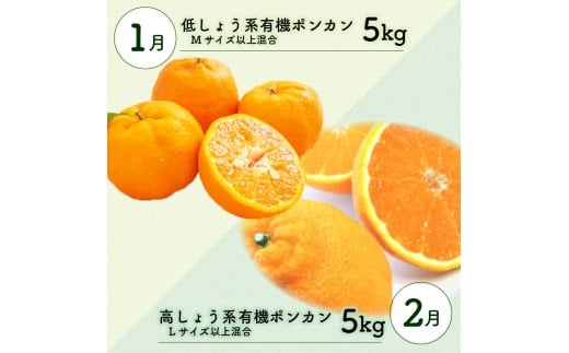 全 3回 3ヶ月 果物 定期便 ぽんかん 土佐 文旦 オーガニック 無農薬 防腐剤 不使用 高知県 須崎市 柑橘 蜜柑 みかん オレンジ フルーツ 果物 お取り寄せ 家庭用 高知県 須崎市 頒布会