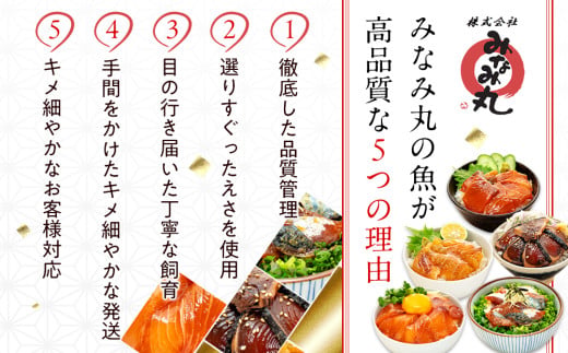 挬ã䞌ã»ãã èš 10 ããã¯ ïŒ 5 çš®é¡ Ã 2 ãã㯠ïŒïœ æµ·é®® 逿²¹ 挬ã 10 ã»ãã èçŒã é°¹ ã¿ã¿ã ãã€ã ã«ã㪠ãµã ãã° é¯ çé¯ é¯ ãã ã¿ã€ ã«ã³ãã åå
« ã㪠鰀 è©°åã ã»ãã æ£è 海鮮䞌 ãåºèº« å°åã ãã㯠åœç£ ã»ãã ãè¶æŒ¬ã æç ç°¡å ãæè»œ äººæ° æ£è æµ·ã®å¹ž åºã身 挬ã 䞌 å å·¥å å·å ã¿ãªã¿äžž é«ç¥ç é åŽåž MM015_x