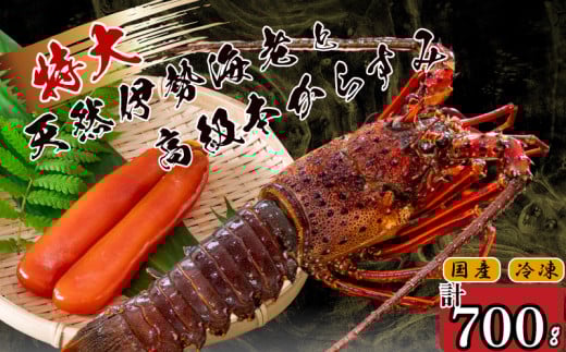 特大伊勢海老 1匹 高級 本からすみ 100g  ( 特大サイズ 急速冷凍 えび エビ からすみ カラスミ 珍味 高級 鮮魚 海鮮 魚介 魚卵 刺身 焼き物 汁物 セット ギフト 贈答 贈り物 祝い 歳暮 中元 ) IKY062