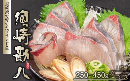 須崎勘八 250g～450g | 勘八 環八 カンパチ かんぱち ブランド 魚 鮮魚 海鮮 刺身 さしみ 焼き魚 料理 簡単調理 背 腹 下処理有 高知県 須崎市