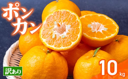 訳あり ポンカン 10kg 早期受付 2026年1月中旬より順次発送 安和ポンカン 家庭用 柑橘 椪柑 みかん フルーツ 果物 くだもの 期間限定 季節限定