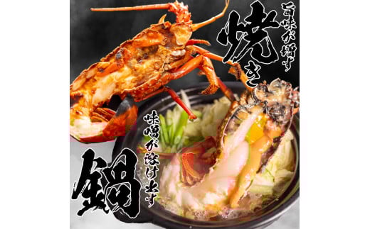 【2026年4月より順次配送】超特大 伊勢海老 800g以上 1尾 冷凍 ( 超特大サイズ 急速冷凍 えび エビ 高級 鮮魚 海鮮 魚介 刺身 焼き物 汁物 ギフト 贈答 贈り物 祝い 歳暮 中元 ) IKY043-all