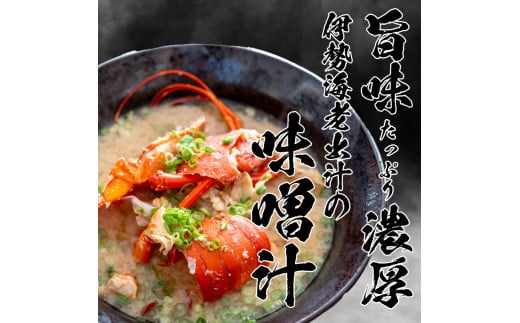 【2026年4月より順次配送】超特大 伊勢海老 800g以上 1尾 冷凍 ( 超特大サイズ 急速冷凍 えび エビ 高級 鮮魚 海鮮 魚介 刺身 焼き物 汁物 ギフト 贈答 贈り物 祝い 歳暮 中元 ) IKY043-all