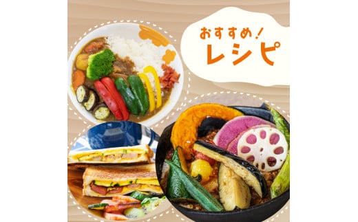 季節の野菜セット 産地直送 朝採れ （7品 ～ 8品 野菜 セット 詰め合わせ 特産 季節 旬 新鮮 彩 ベジタブル 高知県 須崎市  ） NPO020