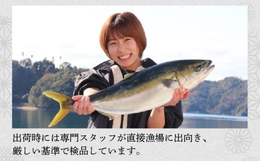【 訳あり 】 本場 高知 藁焼き かつお タタキ 1.5kg 新鮮 産地直送 小島水産 こだわり 逸品 小分け 真空 個包装 高知 県産 土佐 年末年始 鰹 タタキ わら焼き かつお たたき カツオ おつまみ おかず 晩ごはん 刺身 新鮮 訳あり 高知 規格外 贈答 年末発送 お歳暮 お中元 須崎 