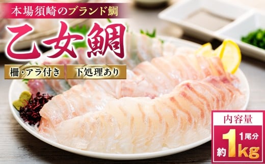 鯛 刺身 1匹分 ( 約900g~1kg )  アラ付き 柵 産地直送 高知県 乙女鯛 小島水産 ブランド 新鮮 冷蔵 真鯛 冷蔵  タイ 高級魚 鮮魚 魚介 海鮮 贈答 ギフト 贈り物 祝い 記念日 中元 歳暮 KS037