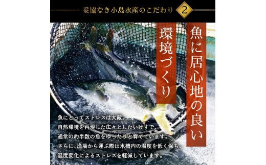 ä¹å¥³ ã㪠700 ~ 900g ãã©ã³ã é°€ ã㪠ã¶ã ä¹å¥³ã㪠ããã¶ åã身 ãã£ãŒã¬ ã«ãä»ã é«ç¥ç é åŽåž é«ç¥ é°€ å¹Žæ« æ£æ ã®ãã èŽãç© KS0311-3x