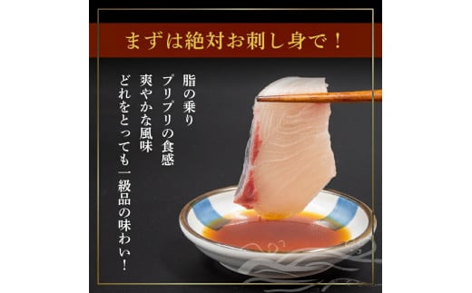 ä¹å¥³ ã㪠700 ~ 900g ãã©ã³ã é°€ ã㪠ã¶ã ä¹å¥³ã㪠ããã¶ åã身 ãã£ãŒã¬ ã«ãä»ã é«ç¥ç é åŽåž é«ç¥ é°€ å¹Žæ« æ£æ ã®ãã èŽãç© KS0311-3x