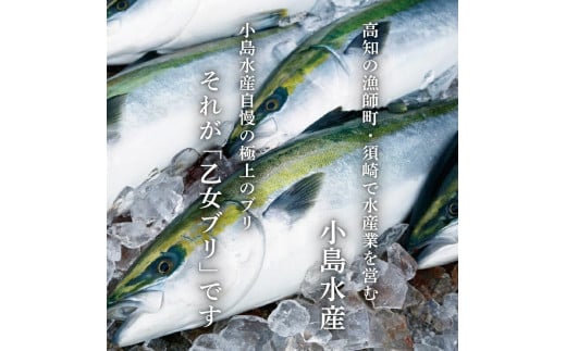 ä¹å¥³ ã㪠700 ~ 900g ãã©ã³ã é°€ ã㪠ã¶ã ä¹å¥³ã㪠ããã¶ åã身 ãã£ãŒã¬ ã«ãä»ã é«ç¥ç é åŽåž é«ç¥ é°€ å¹Žæ« æ£æ ã®ãã èŽãç© KS0311-3x