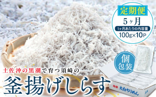 定期便 5ヶ月  鮮度抜群 海の玄米 子供用 釜揚げ しらす 1kg 個包装 計 5kg 新鮮 冷凍 シラス 熨斗 贈答 5回 高知県産 しらす ちりめん じゃこ しらす丼 しらす 定期便 MS1000