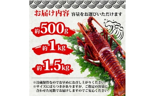 äŒå¢æµ·è 500gä»¥äž ã€ã»ãšã äŒå¢ãšã æµ·è ãšã ã®ãã èŽç èŽãç© å€©ç¶ éä» æµ·ã®å¹ž é®®é åºèº« åºã身 ãé ã å§¿é ã çŒãç© æ±ç© å³åæ± é å·èµ é«çŽ é«ç¥ç é åŽåž GK015
