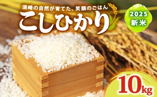 2025 新米 コシヒカリ 10kg 産地直送 新米 8月下旬 から 順次配送 高知県産 白米 精米 こしひかり 米 常温 配送 ブランド米 国産 米 人気 匠 高知県 須崎 SDM003
