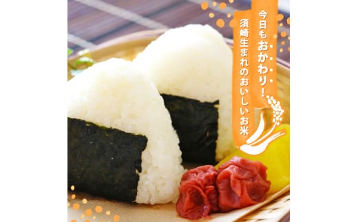 2025 æ°ç±³ ã³ã·ãã«ãª 10kg ç£å°çŽé æ°ç±³ 8æäžæ¬ ãã é æ¬¡é
é é«ç¥çç£ çœç±³ 粟米 ããã²ãã ç±³ åžžæž© é
é ãã©ã³ãç±³ åœç£ ç±³ äººæ° å é«ç¥ç é åŽ SDM003