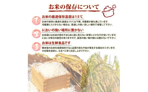 2025 æ°ç±³ ã³ã·ãã«ãª 10kg ç£å°çŽé æ°ç±³ 8æäžæ¬ ãã é æ¬¡é
é é«ç¥çç£ çœç±³ 粟米 ããã²ãã ç±³ åžžæž© é
é ãã©ã³ãç±³ åœç£ ç±³ äººæ° å é«ç¥ç é åŽ SDM003