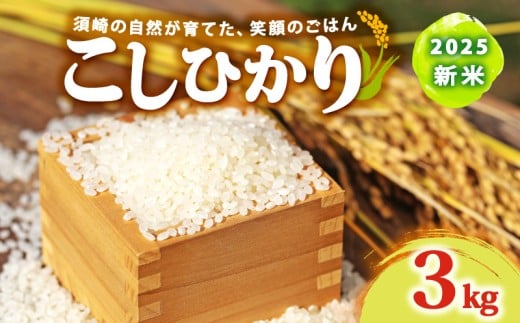 2025 新米 コシヒカリ 3kg 産地直送 新米 8月下旬 から 順次配送 高知県産 白米 精米 こしひかり 米 常温 配送 ブランド米 国産 米 人気 匠 高知県 須崎 SDM002