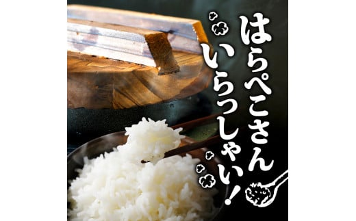 2025 æ°ç±³ ã³ã·ãã«ãª 3kg ç£å°çŽé æ°ç±³ 8æäžæ¬ ãã é æ¬¡é
é é«ç¥çç£ çœç±³ 粟米 ããã²ãã ç±³ åžžæž© é
é ãã©ã³ãç±³ åœç£ ç±³ äººæ° å é«ç¥ç é åŽ SDM002