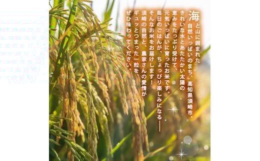 2025 æ°ç±³ ã³ã·ãã«ãª 3kg ç£å°çŽé æ°ç±³ 8æäžæ¬ ãã é æ¬¡é
é é«ç¥çç£ çœç±³ 粟米 ããã²ãã ç±³ åžžæž© é
é ãã©ã³ãç±³ åœç£ ç±³ äººæ° å é«ç¥ç é åŽ SDM002