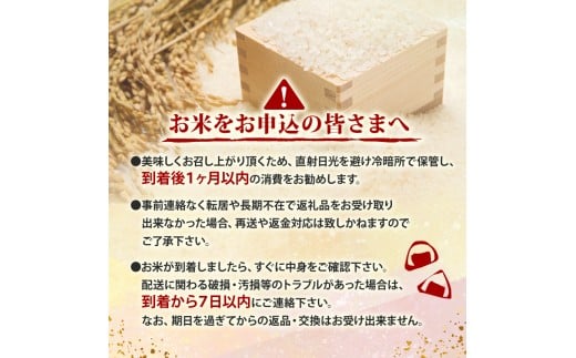 2025 æ°ç±³ ã³ã·ãã«ãª 3kg ç£å°çŽé æ°ç±³ 8æäžæ¬ ãã é æ¬¡é
é é«ç¥çç£ çœç±³ 粟米 ããã²ãã ç±³ åžžæž© é
é ãã©ã³ãç±³ åœç£ ç±³ äººæ° å é«ç¥ç é åŽ SDM002