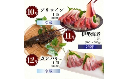 12ã¶æ å®æäŸ¿ åºèº« é®®é 12å å®æäŸ¿ æ°é®® åœç£ ïŒ äŒå¢æµ·è ã㪠ãã€ã ããã ããã ãã°ã ã¿ã€ ã·ãã¢ãž ãã©ã¡ è² ã»ããïŒ ã€ã»ãšã 鯵 é·å€ªé ãµã¶ãš é°¹ é¯ é®ª ã»ãã å·å å·èµ ããã¶ é¯ ãé æµ·é®® å¹Žæ« å¹Žå§ å€§æŠæ¥ æ£æ é«ç¥ç é åŽåž é«ç¥ YI3000