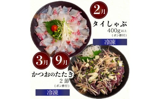 12ã¶æ å®æäŸ¿ åºèº« é®®é 12å å®æäŸ¿ æ°é®® åœç£ ïŒ äŒå¢æµ·è ã㪠ãã€ã ããã ããã ãã°ã ã¿ã€ ã·ãã¢ãž ãã©ã¡ è² ã»ããïŒ ã€ã»ãšã 鯵 é·å€ªé ãµã¶ãš é°¹ é¯ é®ª ã»ãã å·å å·èµ ããã¶ é¯ ãé æµ·é®® å¹Žæ« å¹Žå§ å€§æŠæ¥ æ£æ é«ç¥ç é åŽåž é«ç¥ YI3000