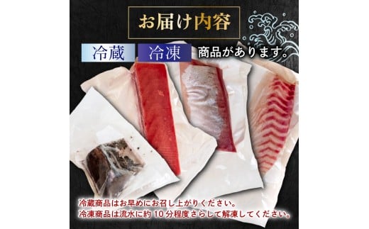 4ヶ月 定期便 刺身 鮮魚 4回 定期便 新鮮 国産 （ ブリ かつお たたき キハダ マグロ 真鯛 ）タイ 鰹 たい セット 冷凍 冷蔵 しゃぶ 鯛 お鍋 海鮮 年末 年始 大晦日 正月 高知県 須崎市 高知 YI1000