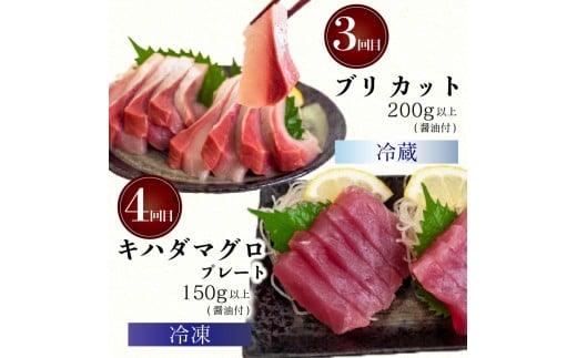 4ヶ月 定期便 刺身 鮮魚 4回 定期便 新鮮 国産 （ ブリ かつお たたき キハダ マグロ 真鯛 ）タイ 鰹 たい セット 冷凍 冷蔵 しゃぶ 鯛 お鍋 海鮮 年末 年始 大晦日 正月 高知県 須崎市 高知 YI1000
