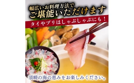 4ヶ月 定期便 刺身 鮮魚 4回 定期便 新鮮 国産 （ ブリ かつお たたき キハダ マグロ 真鯛 ）タイ 鰹 たい セット 冷凍 冷蔵 しゃぶ 鯛 お鍋 海鮮 年末 年始 大晦日 正月 高知県 須崎市 高知 YI1000
