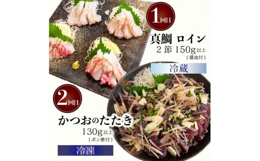 4ヶ月 定期便 刺身 鮮魚 4回 定期便 新鮮 国産 （ ブリ かつお たたき キハダ マグロ 真鯛 ）タイ 鰹 たい セット 冷凍 冷蔵 しゃぶ 鯛 お鍋 海鮮 年末 年始 大晦日 正月 高知県 須崎市 高知 YI1000