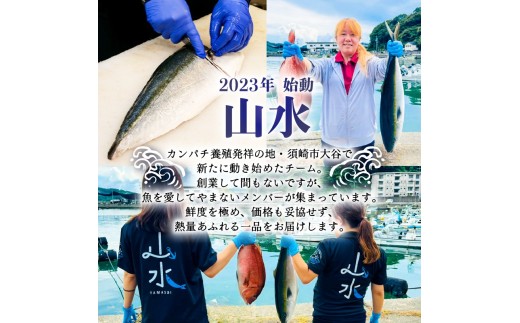  ブリ しゃぶしゃぶ ブリしゃぶ スライス 2パック 新鮮 国産 鰤 約 420g ぶり セット 冷凍 しゃぶ 鰤 お鍋 年末 年始 大晦日 正月 高知県 須崎市 高知 YI002