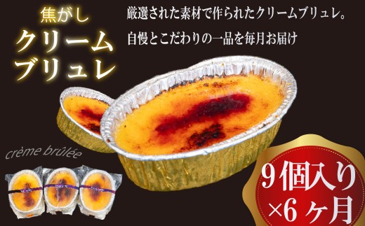 【6ヶ月定期便】 クリームブリュレ 定期便 6回×9個 スイーツ 冷凍 スイーツ定期便 選べる クレームブリュレ 個包装 タラーナ デザート 卵 お菓子 洋菓子 焼き菓子 ギフト おやつ 贈答 飯テロ 夜食 贅沢 ご褒美 贈り物 お取り寄せ 高知 高知県 須崎 LF2000