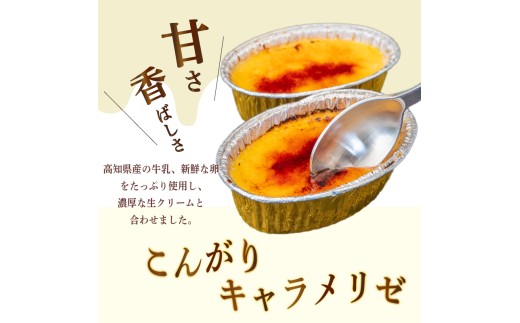 【6ヶ月定期便】 クリームブリュレ 定期便 6回×9個 スイーツ 冷凍 スイーツ定期便 選べる クレームブリュレ 個包装 タラーナ デザート 卵 お菓子 洋菓子 焼き菓子 ギフト おやつ 贈答 飯テロ 夜食 贅沢 ご褒美 贈り物 お取り寄せ 高知 高知県 須崎 LF2000