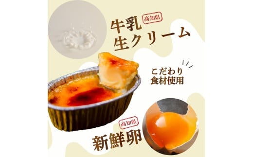 【6ヶ月定期便】 クリームブリュレ 定期便 6回×9個 スイーツ 冷凍 スイーツ定期便 選べる クレームブリュレ 個包装 タラーナ デザート 卵 お菓子 洋菓子 焼き菓子 ギフト おやつ 贈答 飯テロ 夜食 贅沢 ご褒美 贈り物 お取り寄せ 高知 高知県 須崎 LF2000