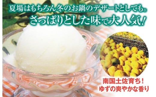 ゆずシャーベット 18個 セット 高知県産 ゆず 爽やか 甘酸っぱい 高知アイス おいしいんだもの ご当地アイス 香り アイスクリーム アイス  スイーツ デザート おやつ 冷蔵 高知県 須崎市 ICE003