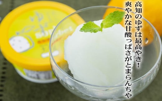 ゆずシャーベット 18個 セット 高知県産 ゆず 爽やか 甘酸っぱい 高知アイス おいしいんだもの ご当地アイス 香り アイスクリーム アイス  スイーツ デザート おやつ 冷蔵 高知県 須崎市 ICE003