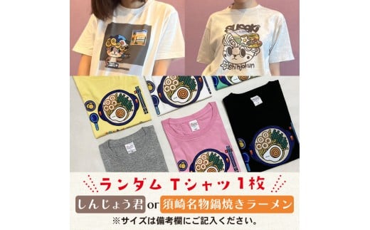 福袋 2万円 トートバッグ Tシャツ バッグ 服 おまかせ デザイン 種類 須崎 高知県 高知 FO030
