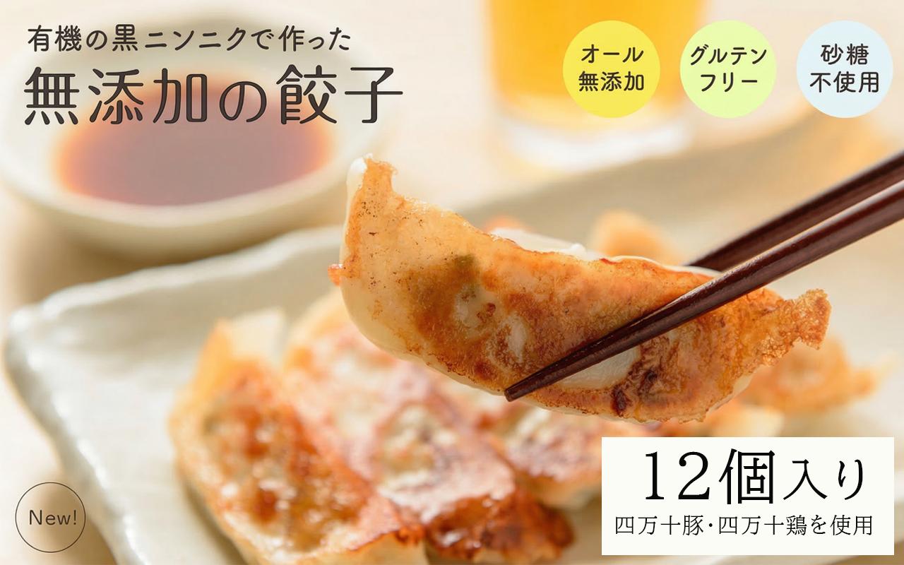 黒 にんにく と 四万十豚 で作った 最高級餃子 （ 6個入り × 2 パック ） 餃子 ギョーザ 焼き餃子 やきぎょうざ ぎょーざ こだわり 大容量 冷凍 冷凍餃子 簡単 調理 簡単調理 惣菜 冷凍食品 おかず 弁当 中華 中華料理 料理 高知県 須崎市 EA0311_２ｘ