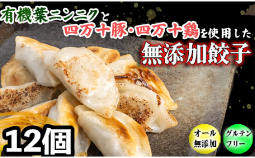 有機 葉 ニンニク と 四万十豚 で作った 最高級 餃子 （ 6個入り x 2パック ）ぎょうざ ギョウザ にんにく 高知 野菜 EA0271