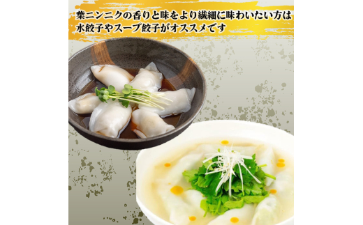 有機 葉 ニンニク と 四万十豚 で作った 最高級 餃子 （ 6個入り x 2パック ）ぎょうざ ギョウザ にんにく 高知 野菜 EA0271