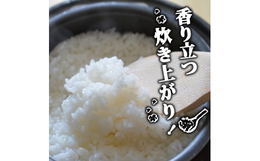 2025年 コシヒカリ 3Kg 産地直送 高知県産 白米 精米 こしひかり 米 常温 配送 ブランド米 国産 米 早場米 人気 天然 恵み 心 高知県 須崎市 SI001