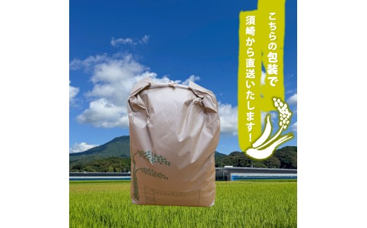 2025年 コシヒカリ 3Kg 産地直送 高知県産 白米 精米 こしひかり 米 常温 配送 ブランド米 国産 米 早場米 人気 天然 恵み 心 高知県 須崎市 SI001